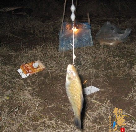 老吴出品：独门秘方，再创辉煌。见图见文字见真相