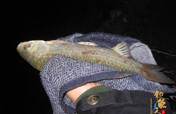 老吴出品：独门秘方，再创辉煌。见图见文字见真相