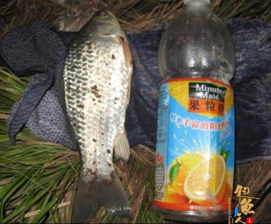 老吴出品：独门秘方，再创辉煌。见图见文字见真相