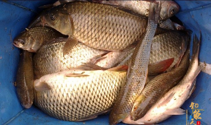 老吴出品：独门秘方，再创辉煌。见图见文字见真相