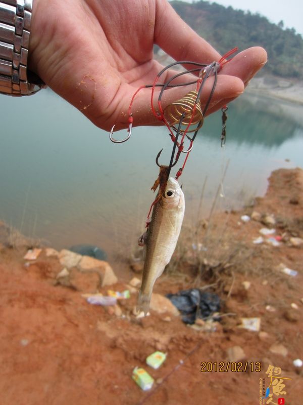 最爱野钓·独骑战水库，新人发··帖····精彩PP