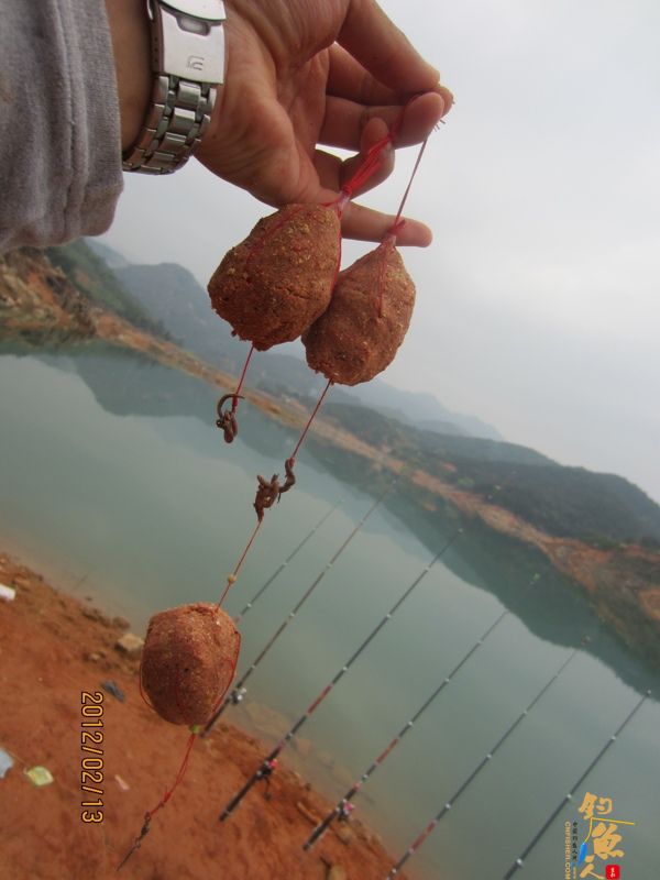 最爱野钓·独骑战水库，新人发··帖····精彩PP