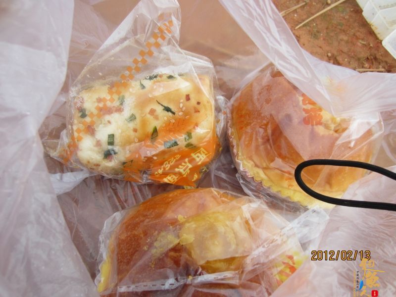 最爱野钓·独骑战水库，新人发··帖····精彩PP