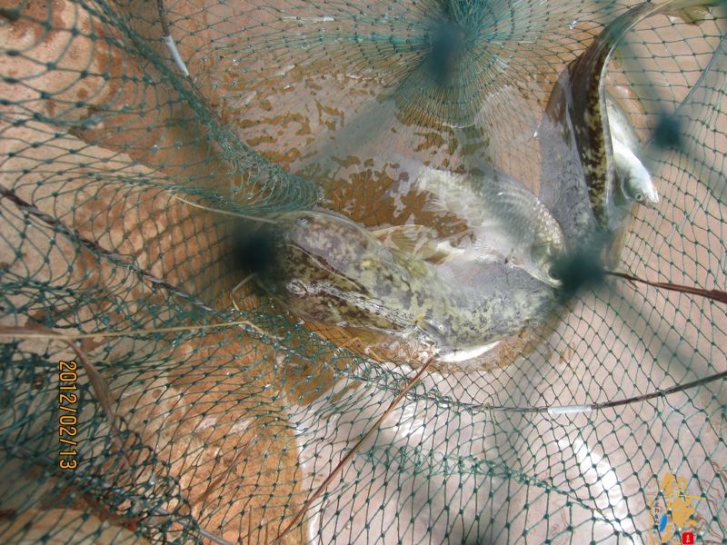 最爱野钓·独骑战水库，新人发··帖····精彩PP