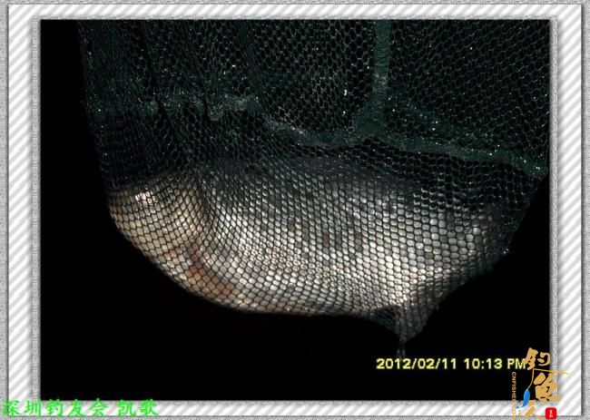 2012007 粗心大意 夜钓鬼塘