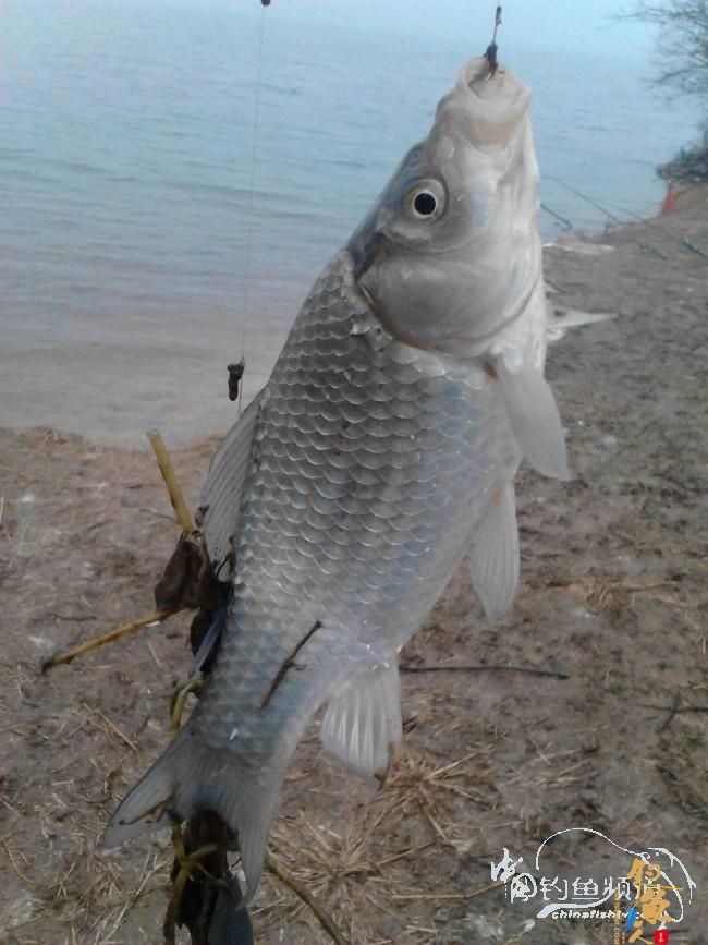 雨天三战城东大湖