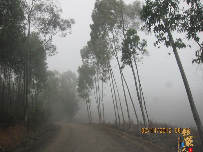 龙潭，错误的情人节对象！ 作者：捕鲮者