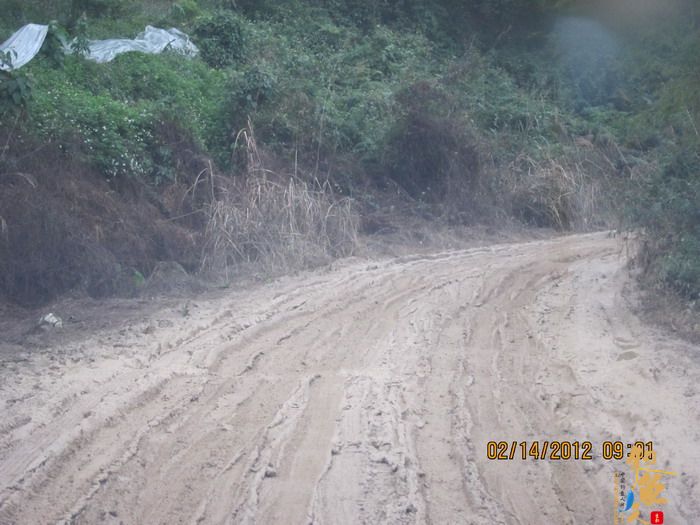 龙潭，错误的情人节对象！ 作者：捕鲮者