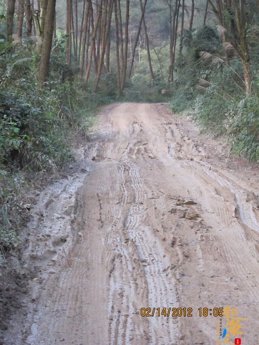 龙潭,错误的情人节对象! 作者:捕鲮者