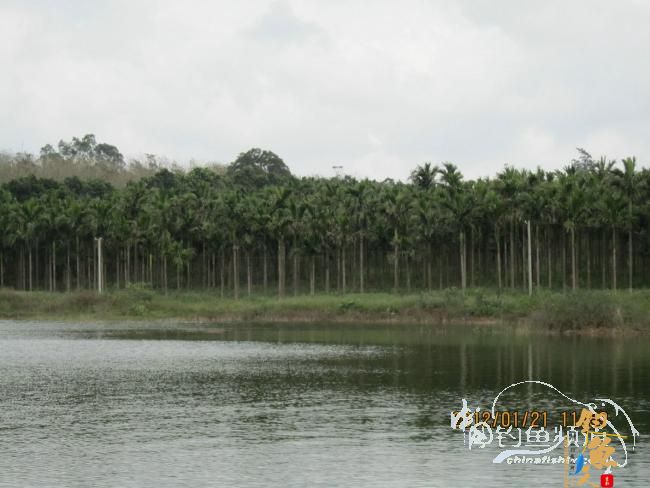 小鱼雷乐钓记——正中之中的正口鱼 作者:小鱼雷