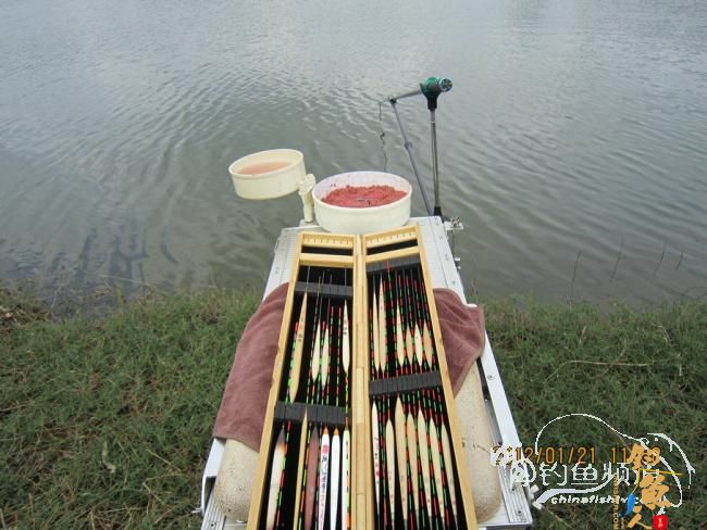 小鱼雷乐钓记——正中之中的正口鱼 作者:小鱼雷