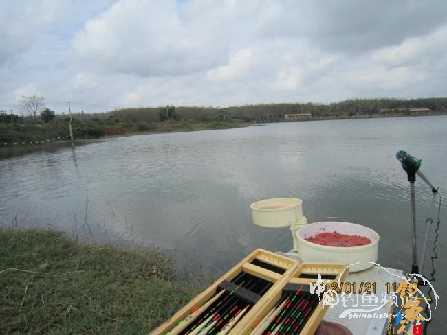 小鱼雷乐钓记——正中之中的正口鱼 作者：小鱼雷