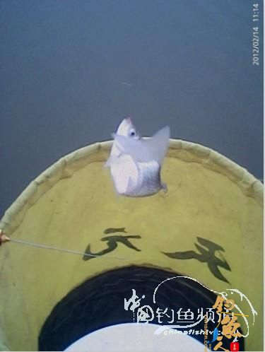 情人节，会 【情人】