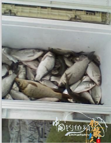 情人节，会 【情人】