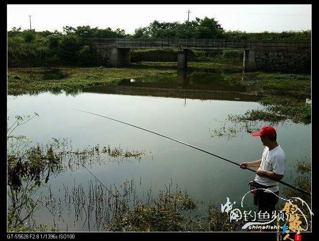 长竿短线的魅力（9）——千呼万唤始出来