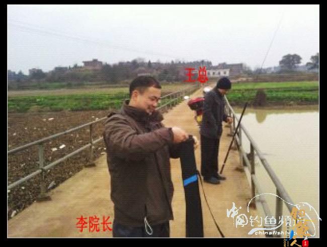 长竿短线的魅力（9）——千呼万唤始出来