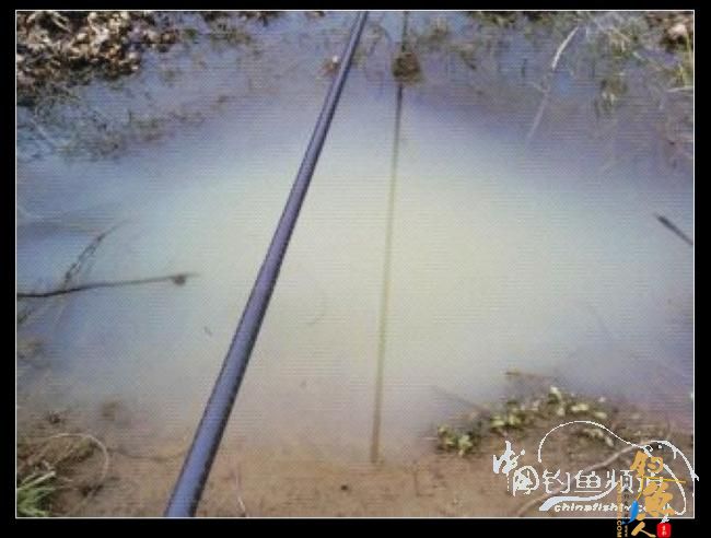 长竿短线的魅力（9）——千呼万唤始出来