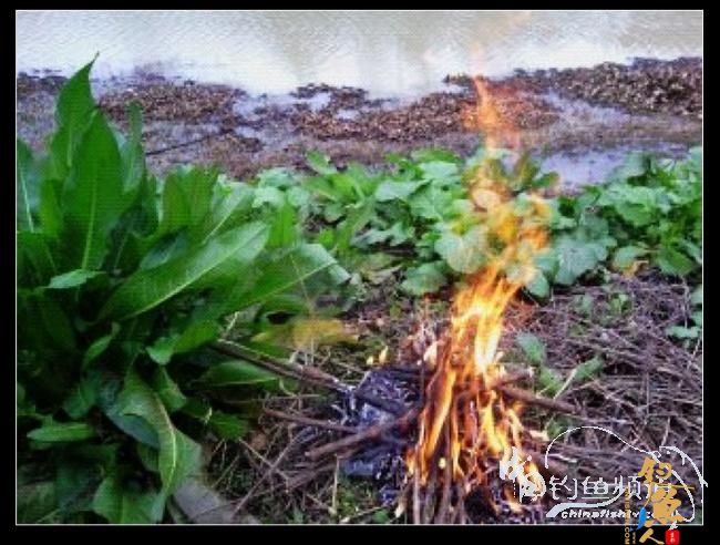 长竿短线的魅力（9）——千呼万唤始出来