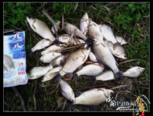 长竿短线的魅力（9）——千呼万唤始出来