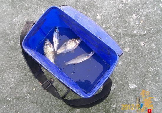 （原创）饥一顿饱一顿的冰钓