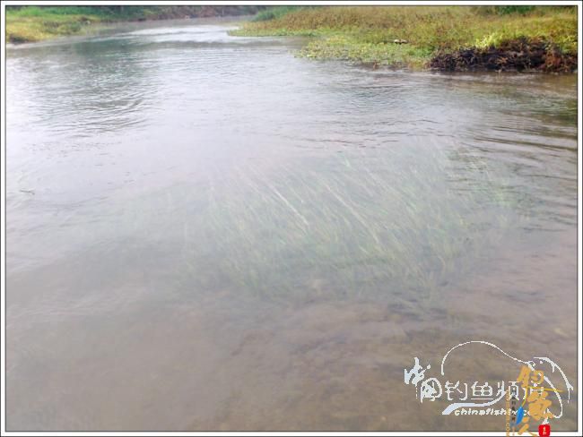 那楞江小钓~~盼春