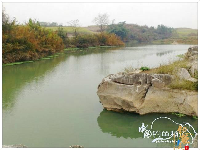 那楞江小钓~~盼春