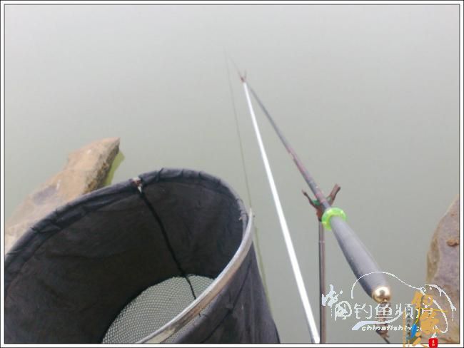 那楞江小钓~~盼春