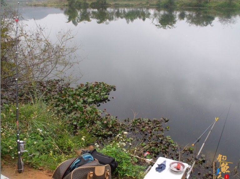 那马奇遇记，和电工亲密接触，还有那马精神病人