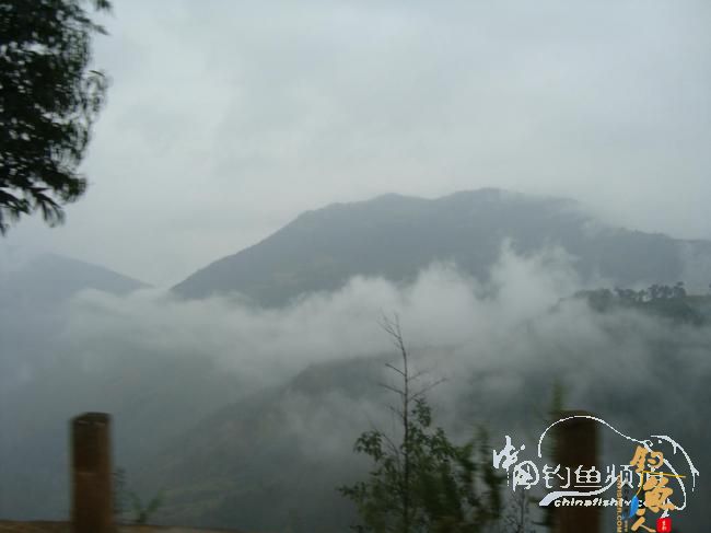 续《渔我同行》之野水仙钓 作者:散兵游勇