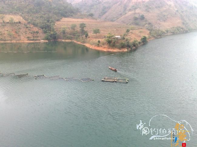 续《渔我同行》之野水仙钓 作者:散兵游勇