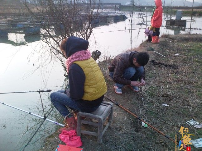 新年好收获，大鲫接着来（二）