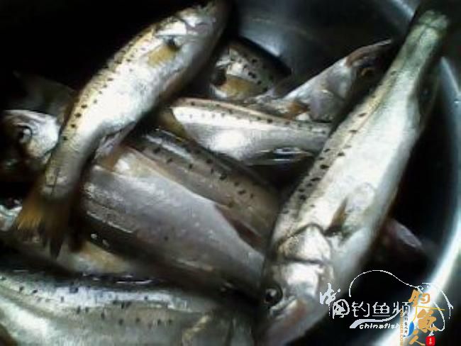 第一次路亚就狂上 图