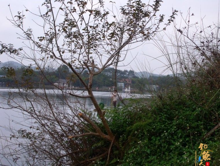 那马奇遇记，和电工亲密接触，还有那马精神病人