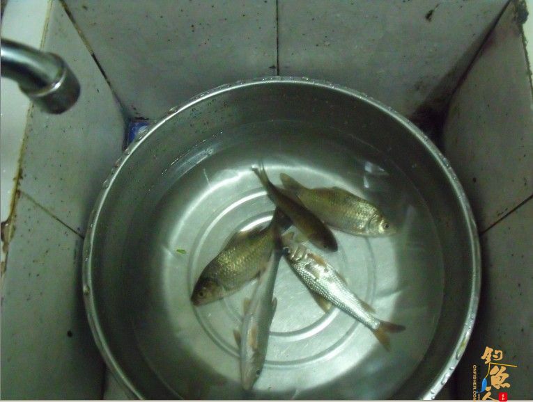 那马奇遇记，和电工亲密接触，还有那马精神病人