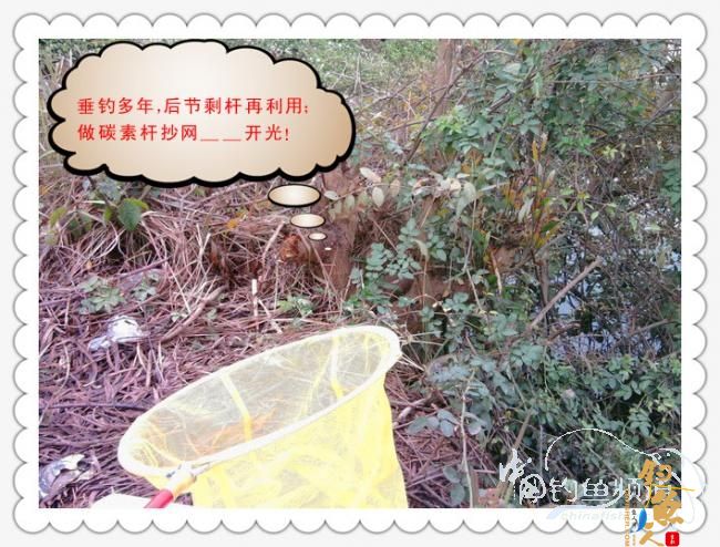 菜地钓鲫，冷暖两重天！