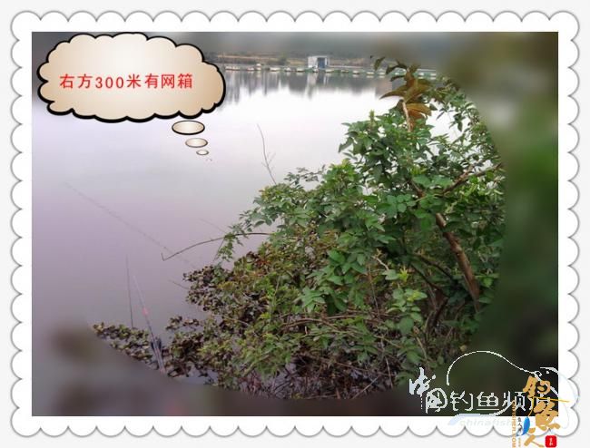 菜地钓鲫，冷暖两重天！