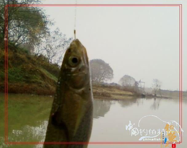 【原创】早春二月钓