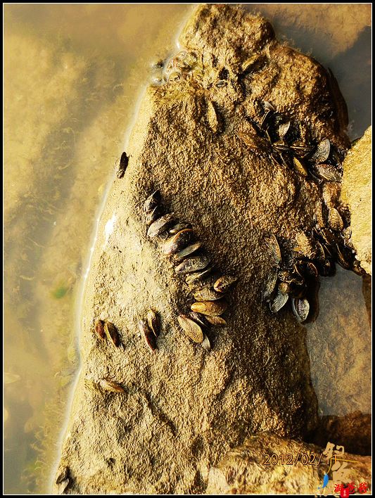 野钓记事：别无她求!