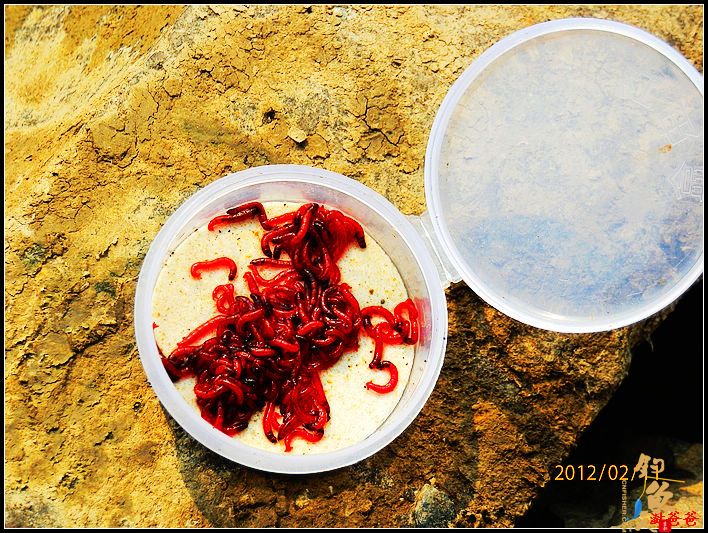 野钓记事：别无她求!