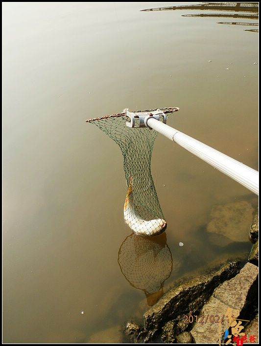 野钓记事：别无她求!