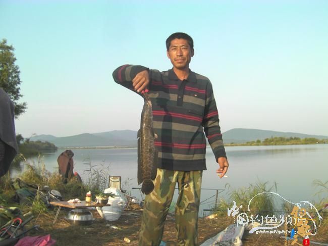 江城小弟情意重,300公里探兄长【白鹭】