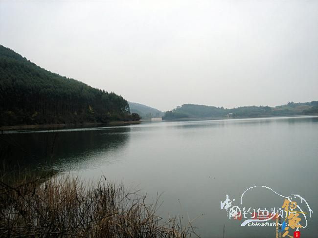 美丽的东山，遗憾的渔获