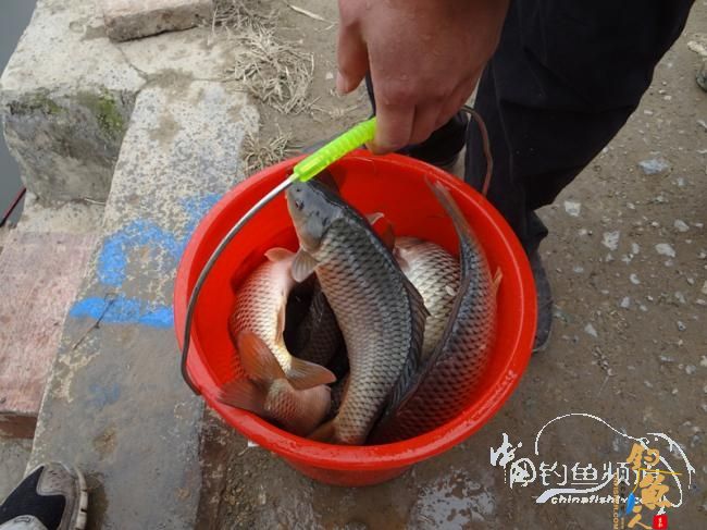 汗高杯柳州钓友之家钓鱼比赛活动 图