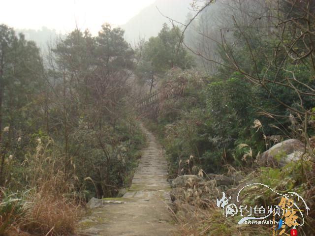 20120218一日两路,观光了!（一）作者：苍山老妖