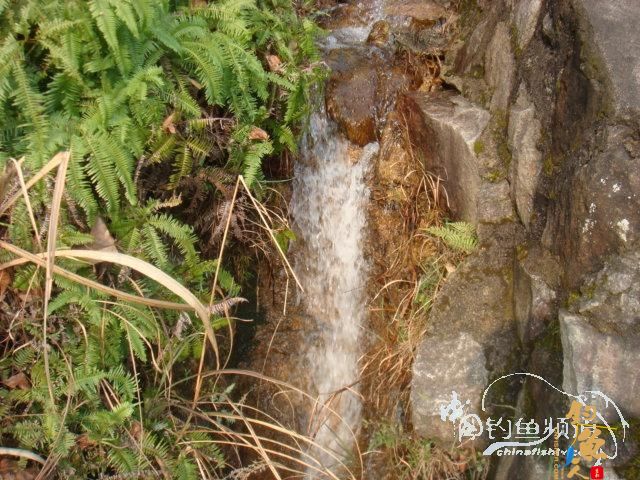 20120218一日两路,观光了!（一）作者：苍山老妖