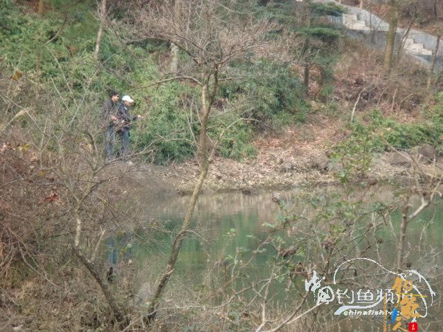 20120218一日两路,观光了!(一)作者:苍山老妖