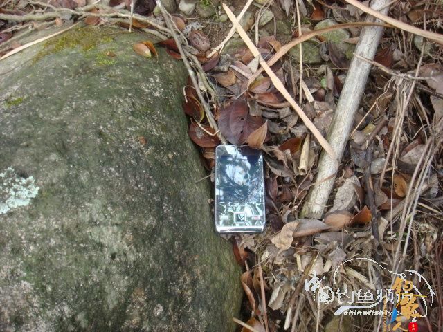 20120218一日两路,观光了!(一)作者:苍山老妖