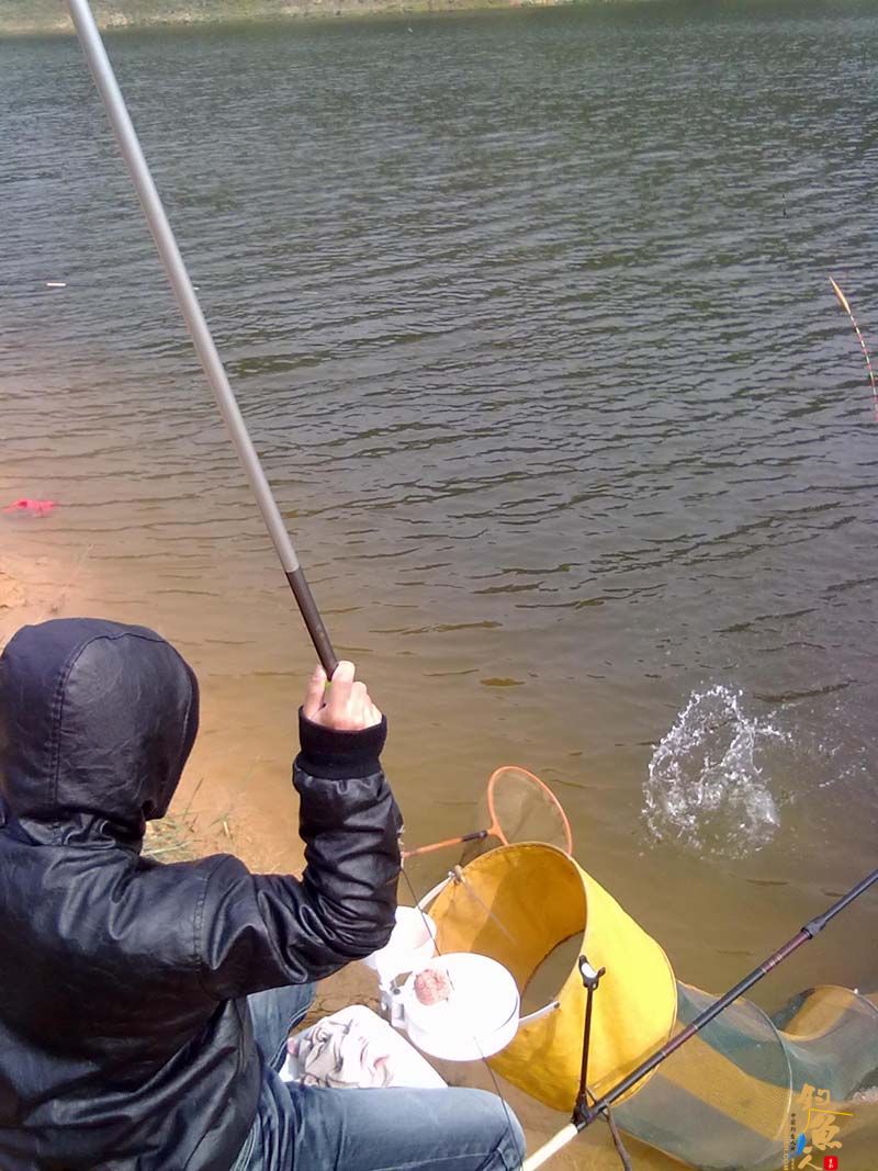 2-18 赤草 古语有云（不听老人言吃亏在眼前）作者：笑耻