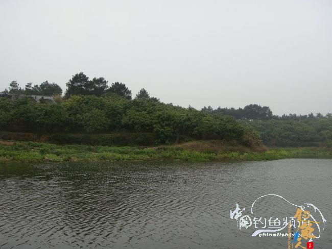 星期日山塘探钓记(2012.02.19)