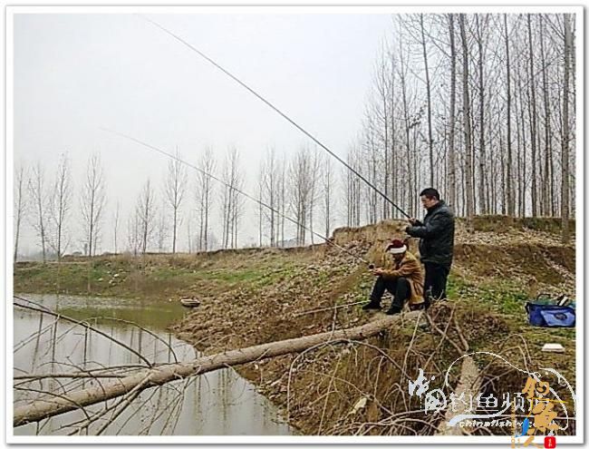 野钓日记----年后溪钓鲫当家 作者:皤然一翁